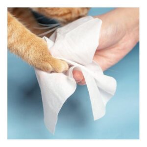 Pet Cleaning Wipes