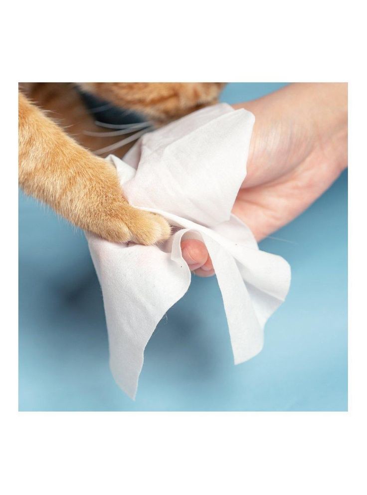 Pet Cleaning Wipes